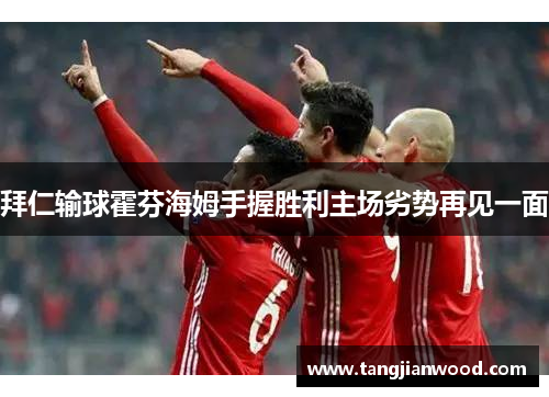 拜仁输球霍芬海姆手握胜利主场劣势再见一面