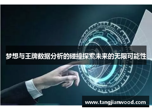 梦想与王牌数据分析的碰撞探索未来的无限可能性